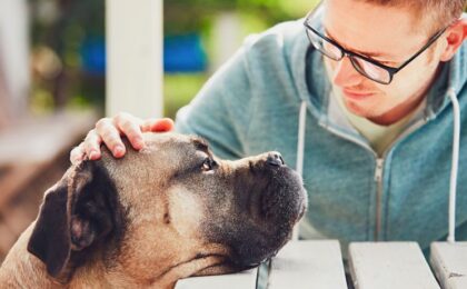 A dog resting chin on table and owner put his hand on dog