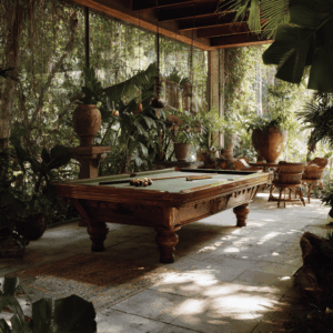 shuffleboard